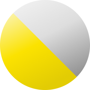 Srebrny / Czarny / Żółty